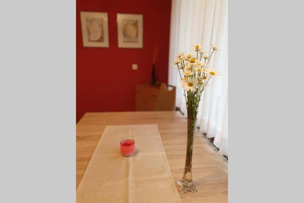 Apartma Kreda Мойстрана Экстерьер фото